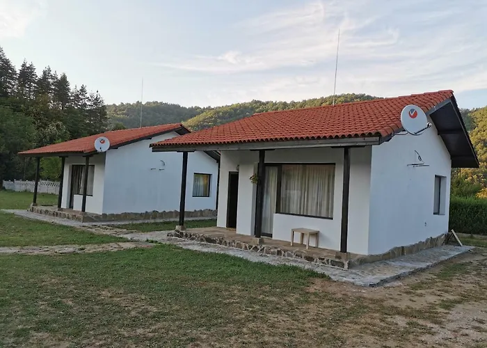 комплекс антик