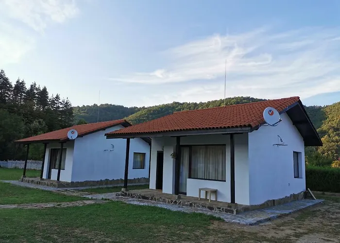 комплекс антик